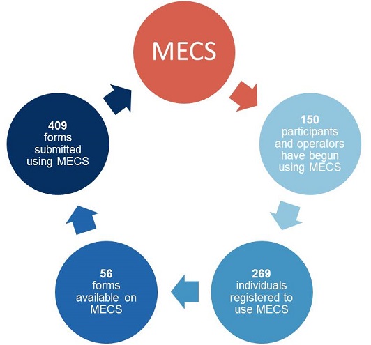 Mecs Flowchart