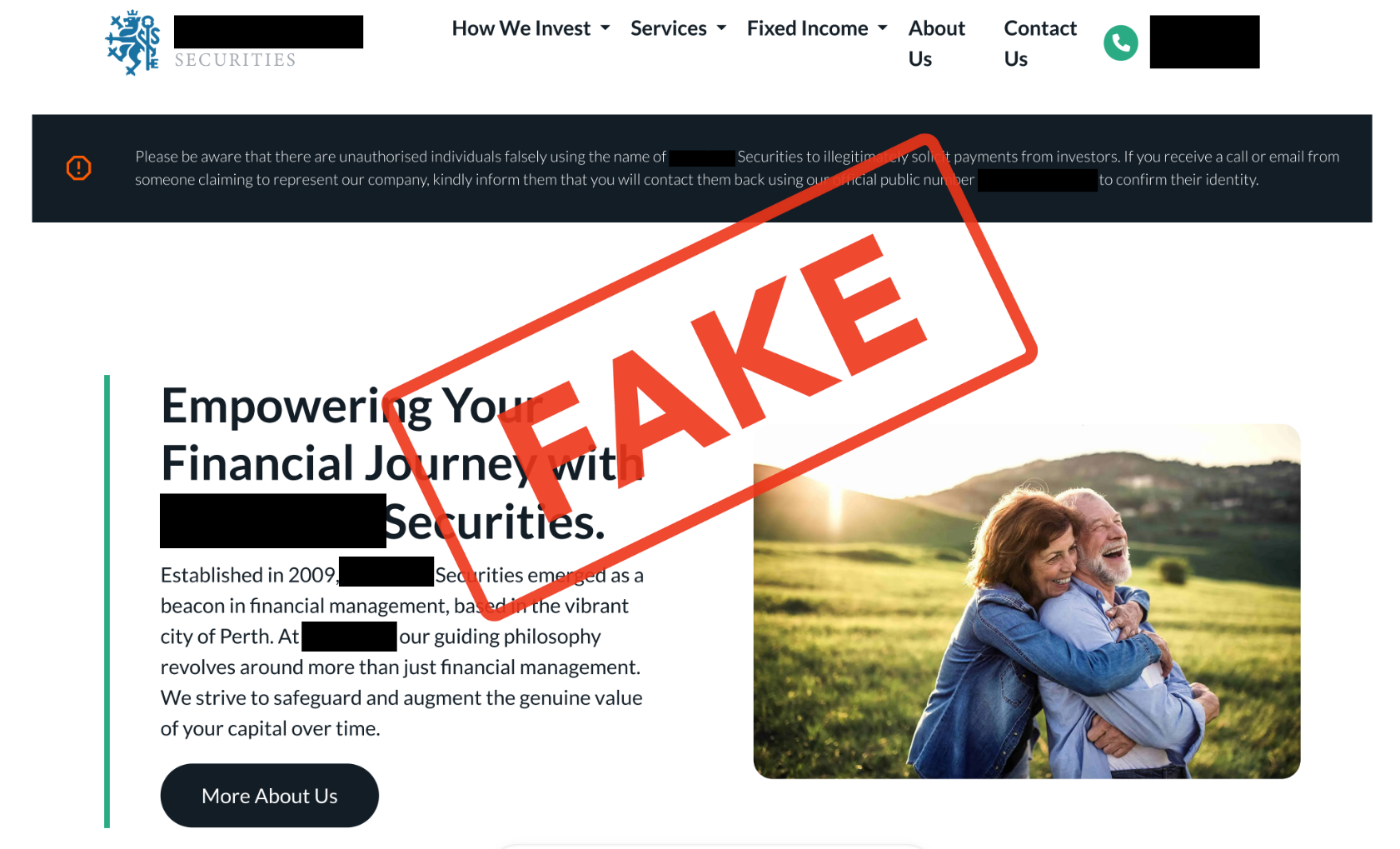 Fake scam website