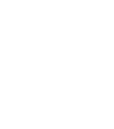 icon of dollar signs