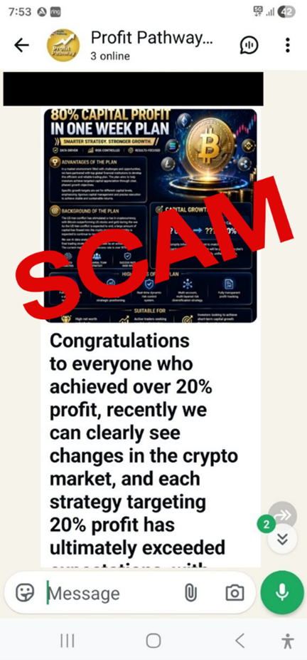 Example 1 of fake investment advice shows a screenshot of a whatsapp chat message from Profit Pathways with a message reading "Congratulations to everyone who achieved over 20% profit, recently we can clearly see changes in the crypto market, and each strategy targeting 20% profit has ultimately exceeded...". The word scam is overlaid on the image.